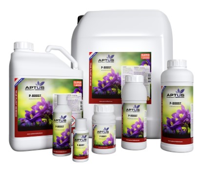 (image for) Aptus P-Boost